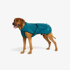 Cyclone Dog Jacket Hund Moroccan Blue