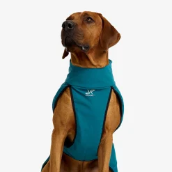 Cyclone Dog Jacket Hund Moroccan Blue