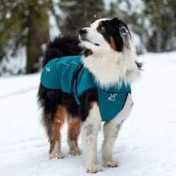 Cyclone Dog Jacket Hund Moroccan Blue