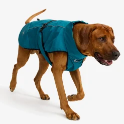 Cyclone Dog Jacket Hund Moroccan Blue