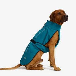 Cyclone Dog Jacket Hund Moroccan Blue